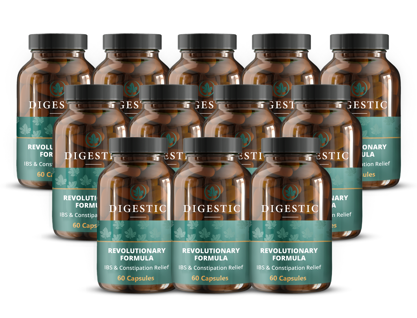 Digestic™ Revolutionary Formula - 12 bottles (720 capsules)
